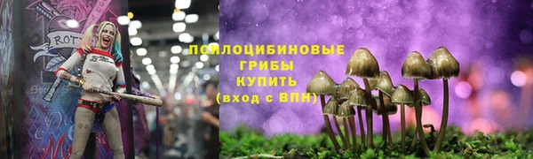 дурь Аркадак