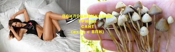 дурь Аркадак