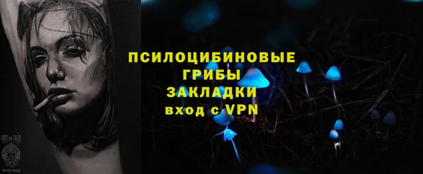 дурь Аркадак